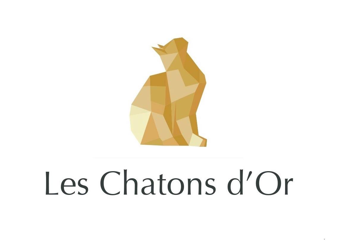 logo partenaire